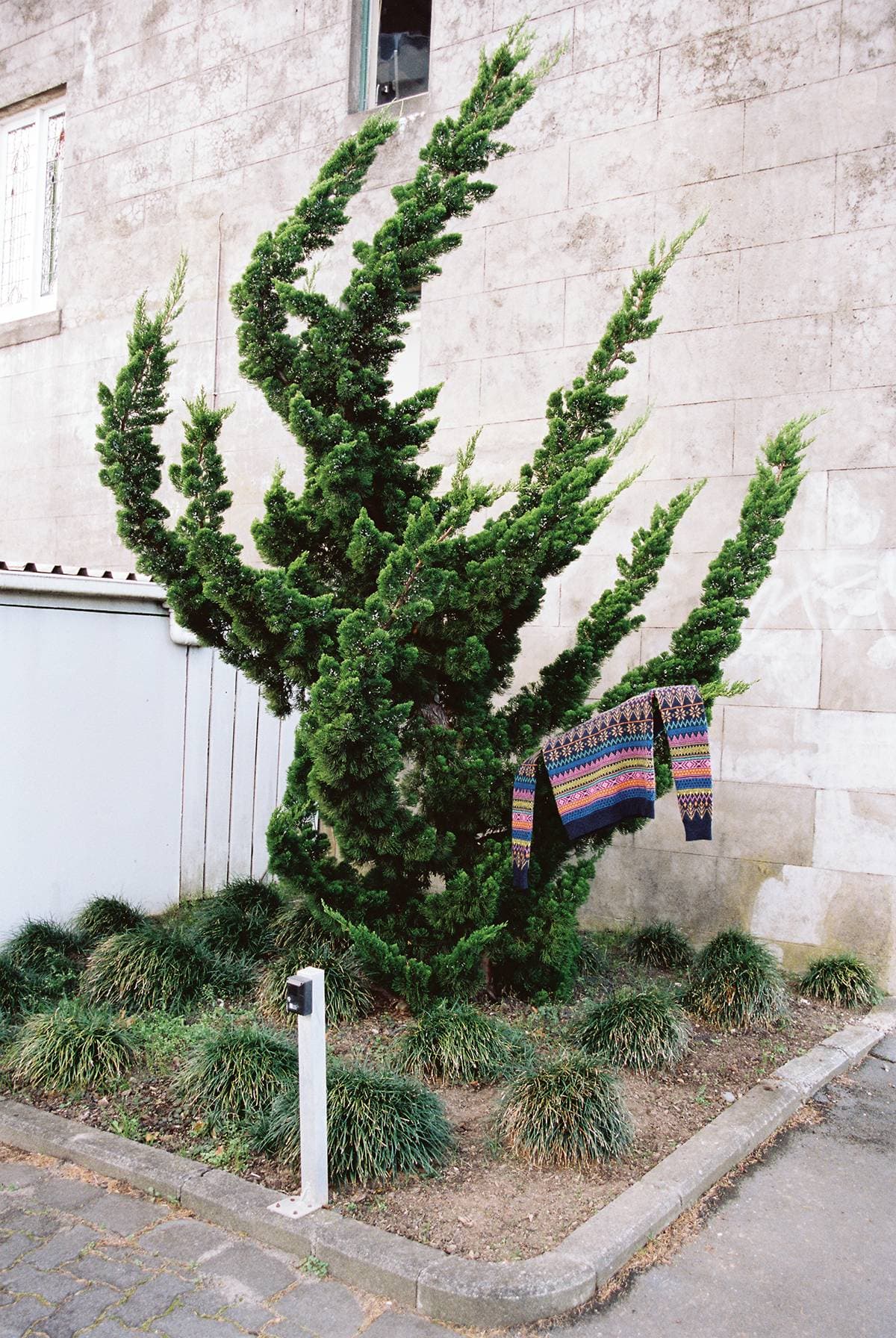 Gorman for Frankie Magazine by Natasha Cantwell.