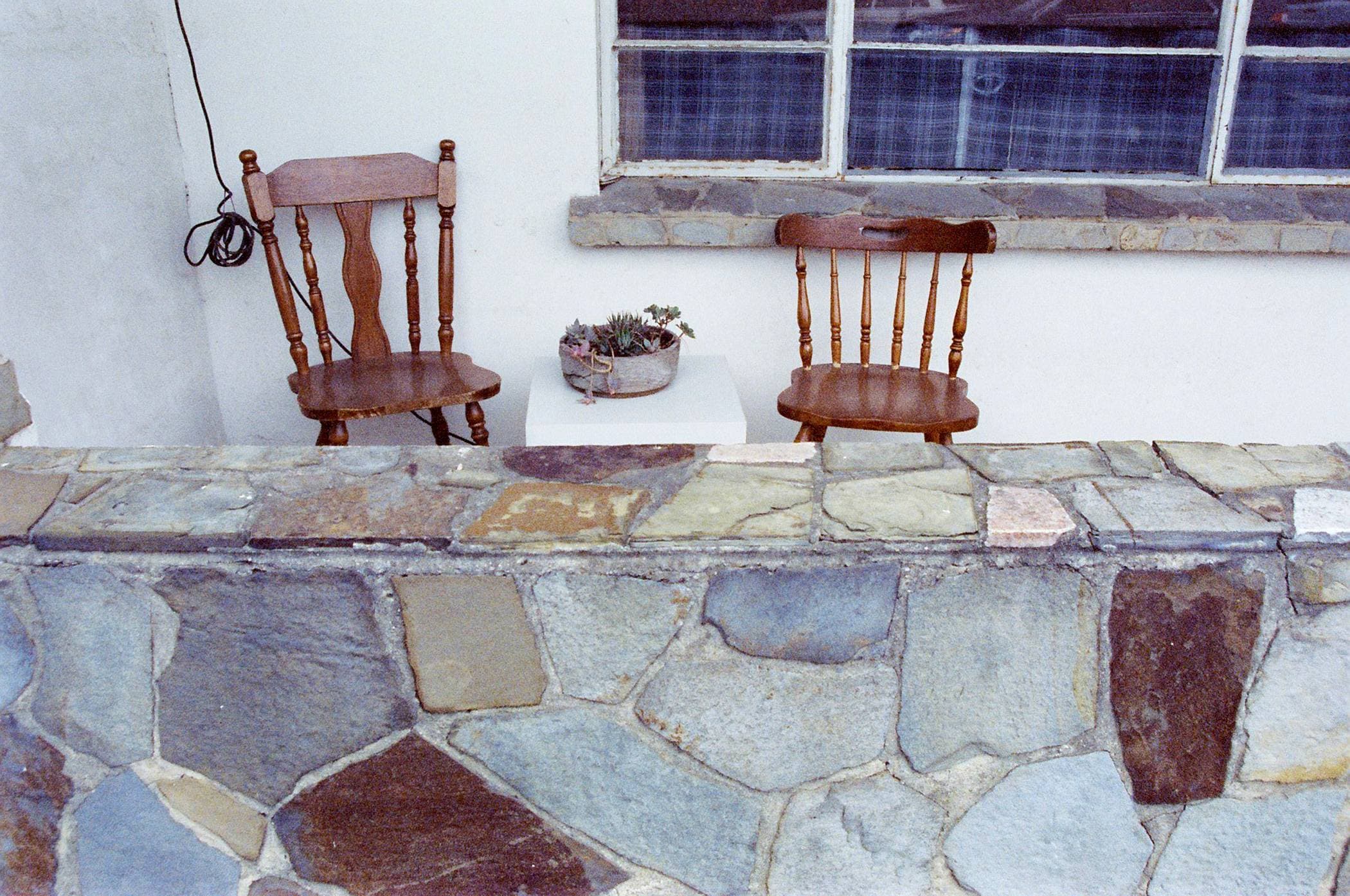 From the Awkward Gardener series for The Planthunter by Natasha Cantwell.