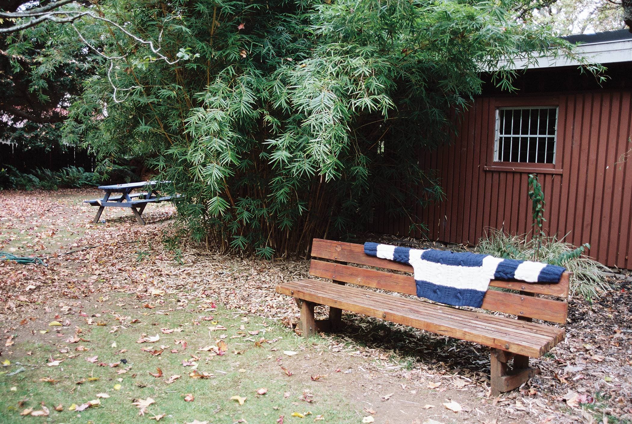 Stolen Girlfriends Club for Frankie Magazine by Natasha Cantwell.