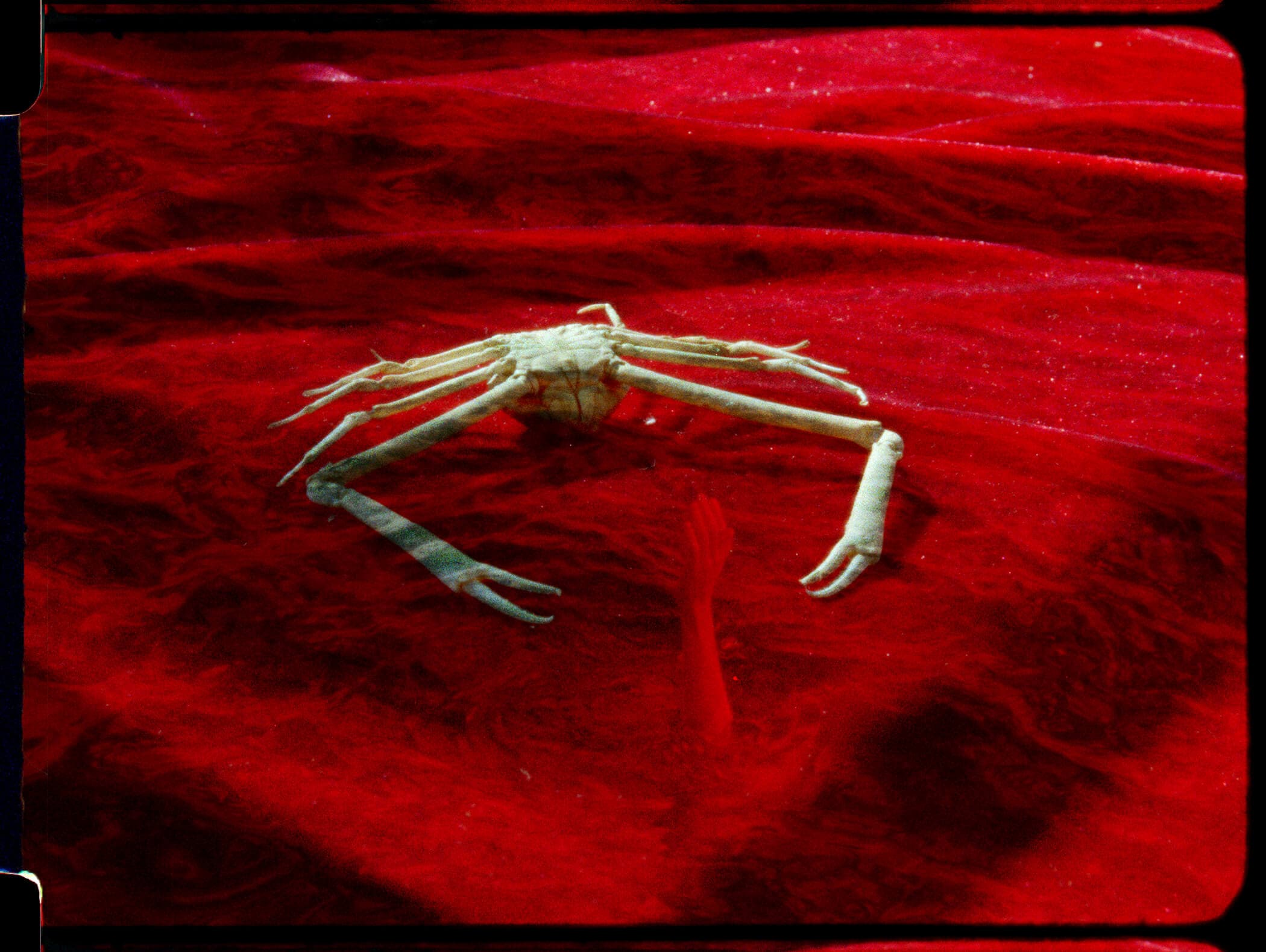 Film still from 'The Bluff' by Natasha Cantwell. Film still from 'The Bluff' by Natasha Cantwell.