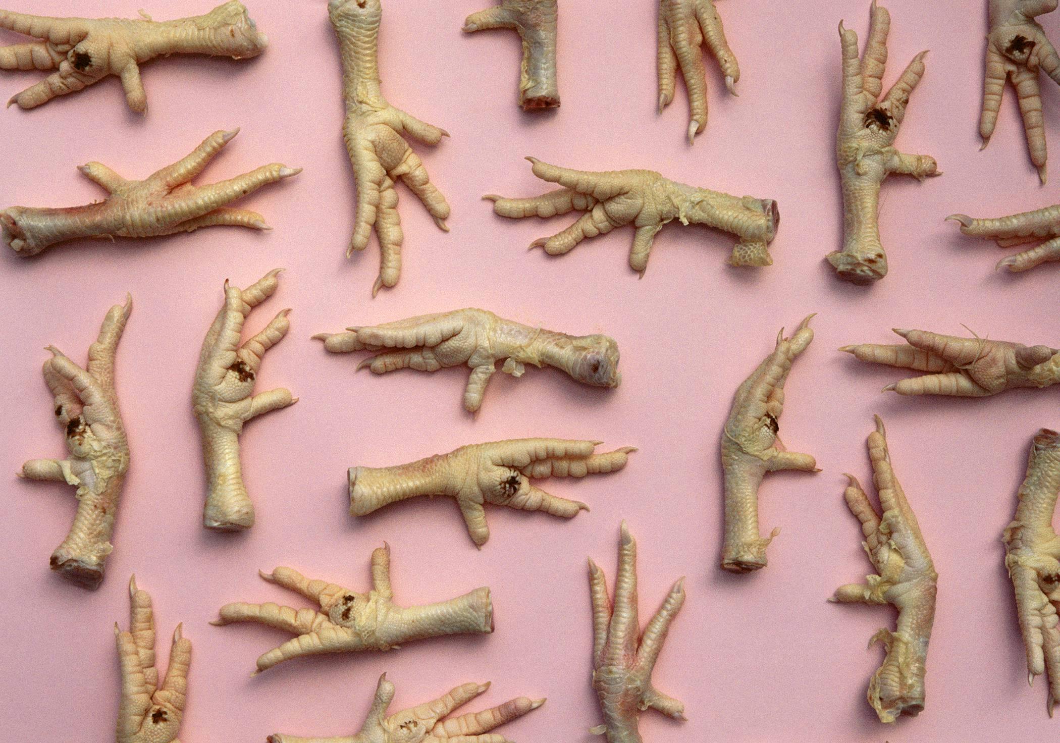 'Claws' by Natasha Cantwell, C-Type Photograph, Edition of 5